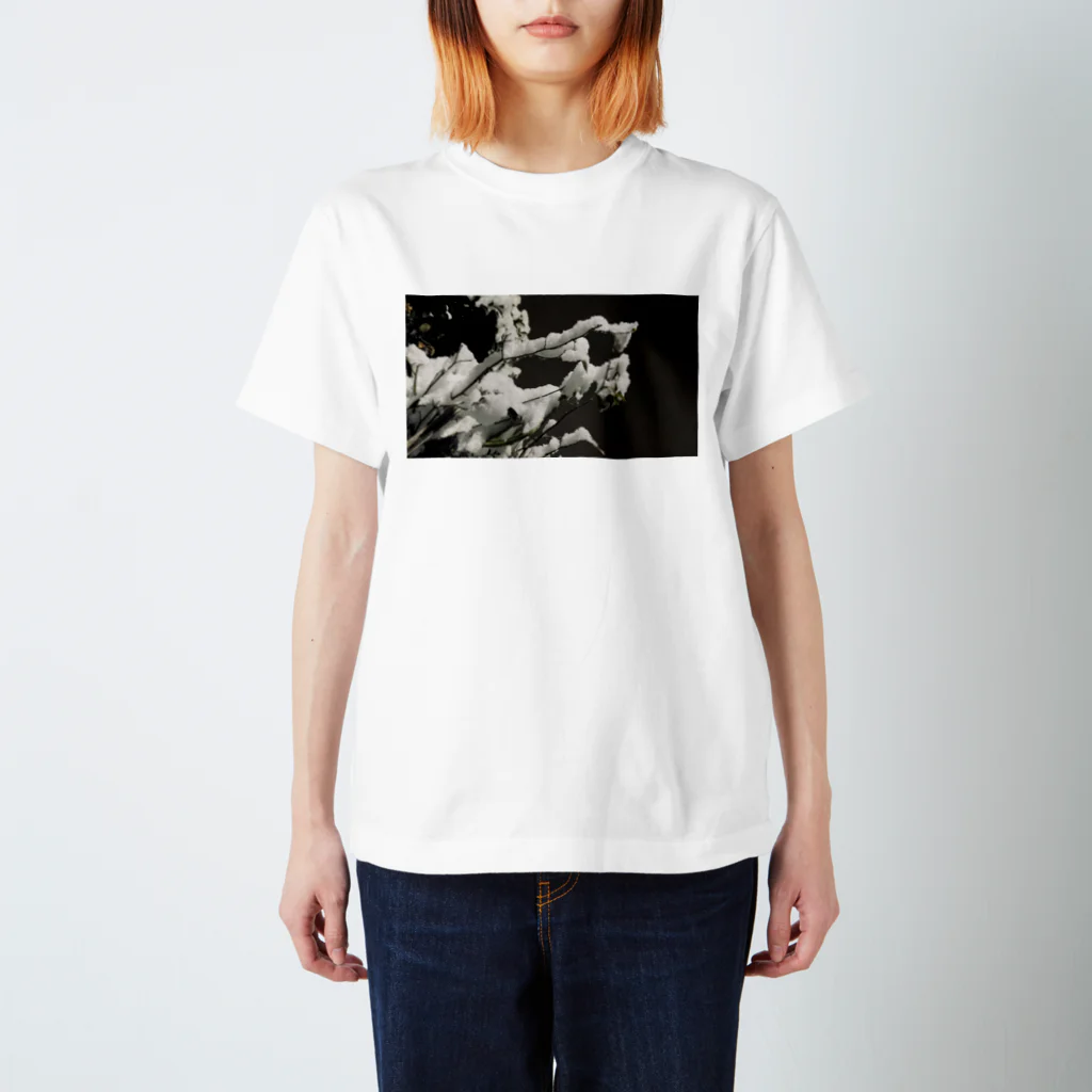 muimuiの枝雪 Regular Fit T-Shirt