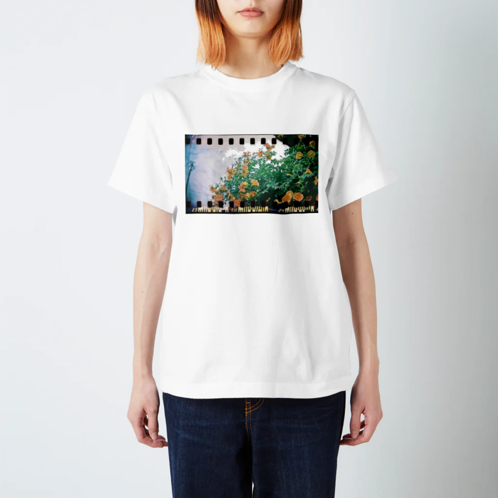 wawacomet*のトイカメラで撮った花と空 スタンダードTシャツ