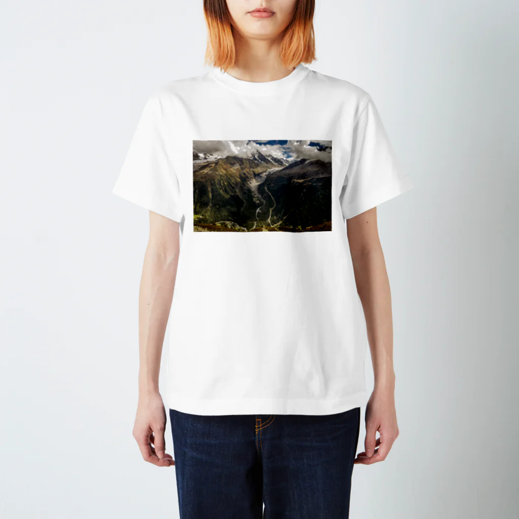 //XXX/のXXXMOUNT スタンダードTシャツ