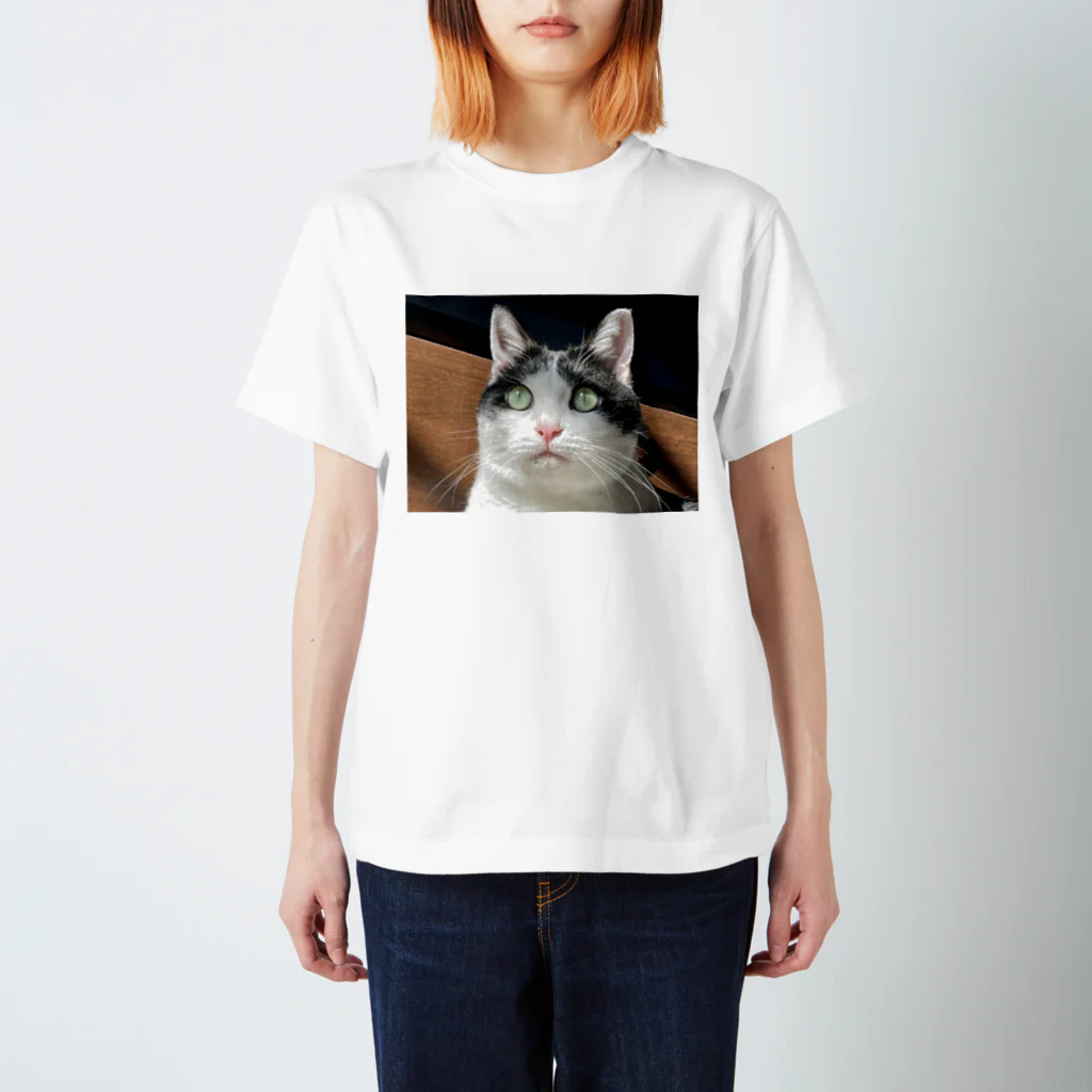 猫太郎の2022年1月28日の猫太郎 スタンダードTシャツ