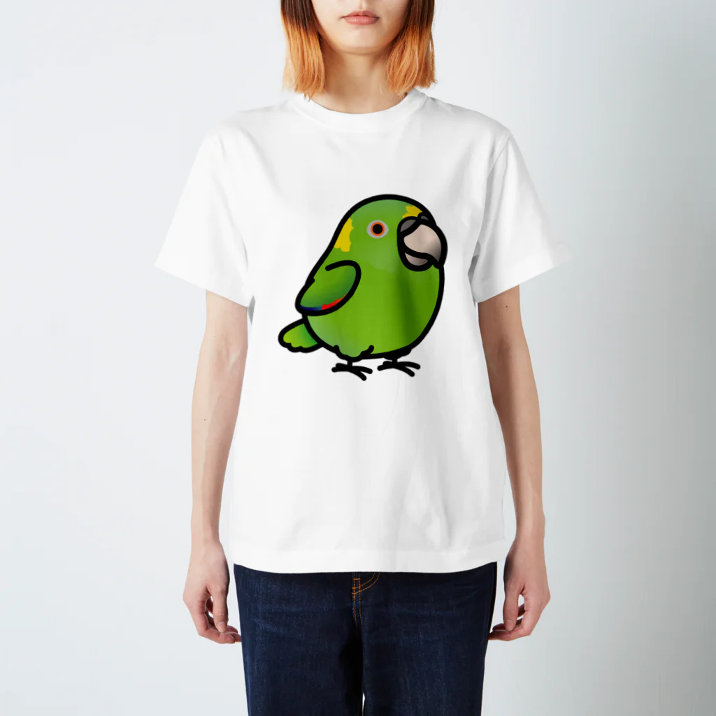 Cody the LovebirdのChubby Bird　キエリボウシインコ Regular Fit T-Shirt