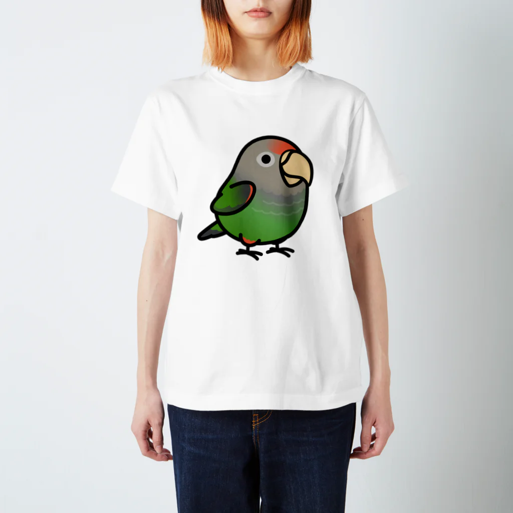 Cody the LovebirdのChubby Bird ハネナガインコ スタンダードTシャツ