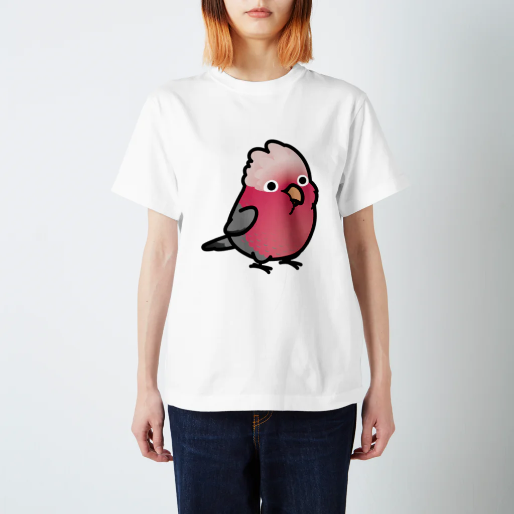 Cody the LovebirdのChubby Bird　モモイロインコ Regular Fit T-Shirt