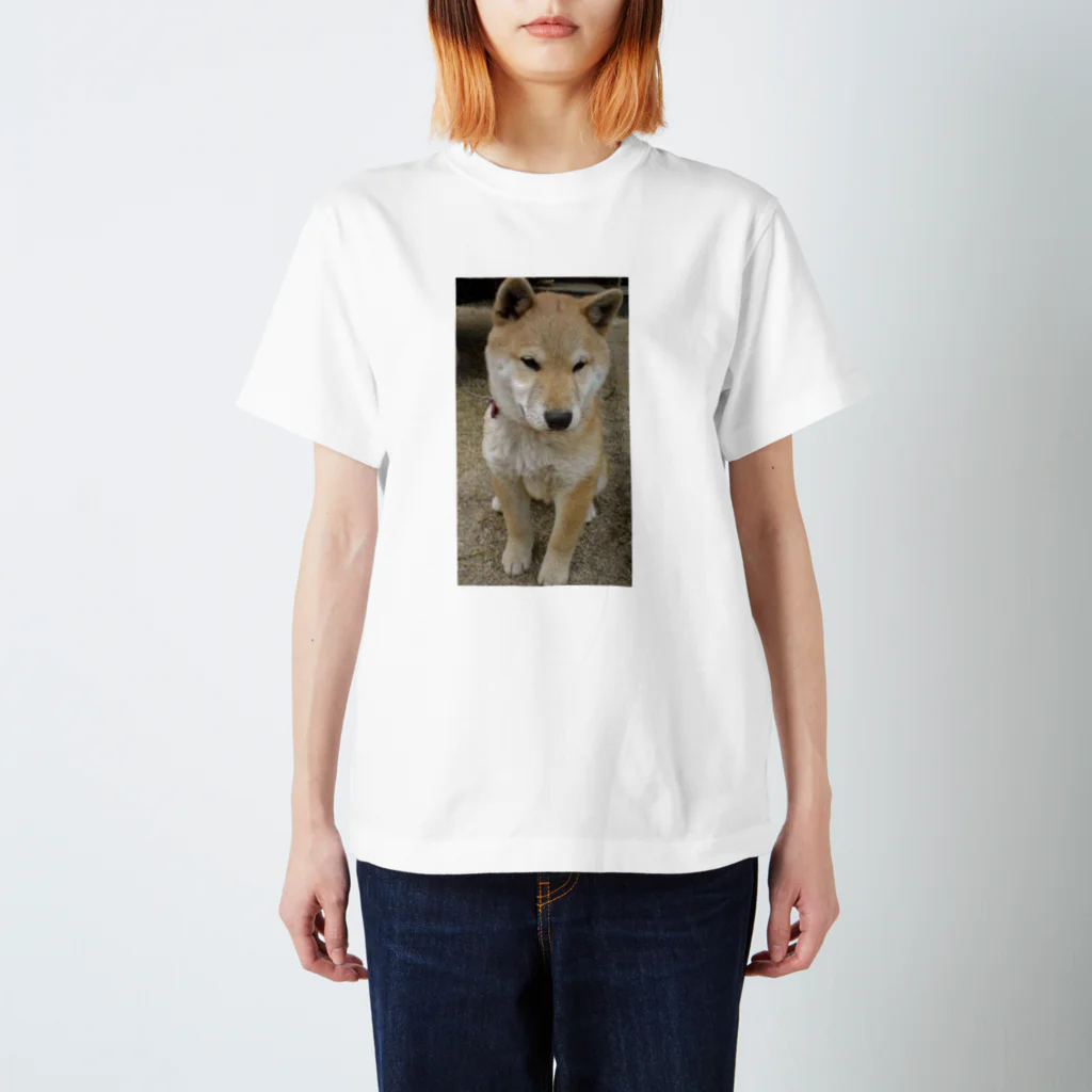 ゆずの柴犬ライチ③ Regular Fit T-Shirt