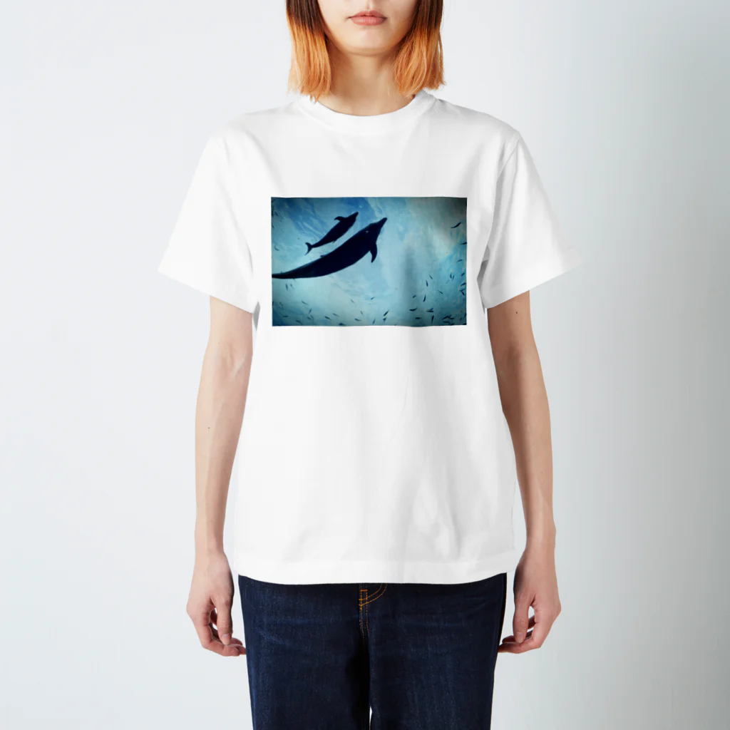 K-aquariumの空飛ぶイルカ スタンダードTシャツ