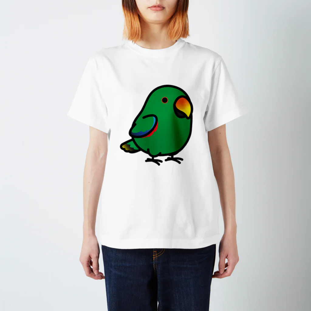 Cody the LovebirdのChubby Bird オオハナインコ Regular Fit T-Shirt