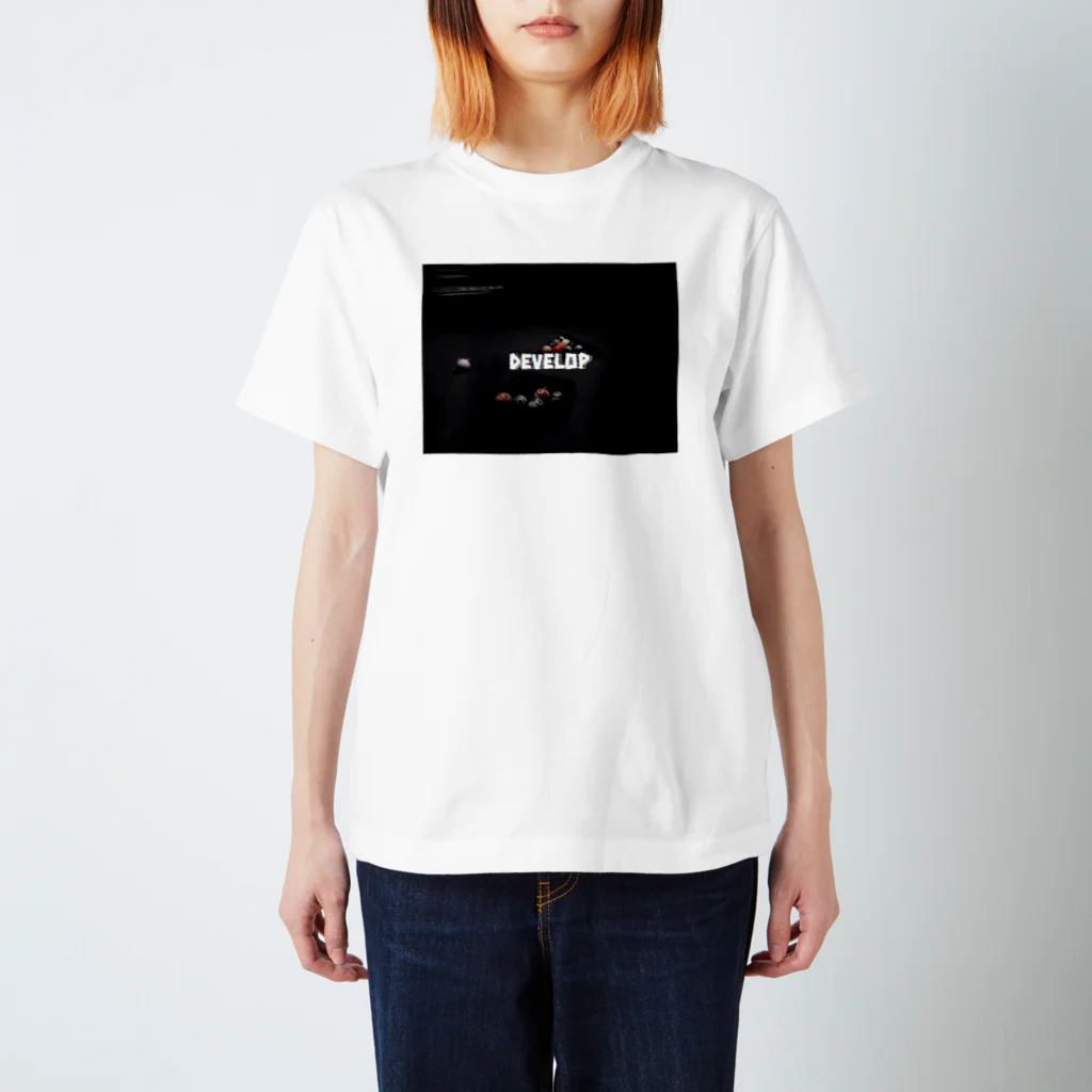 Developのdevelop  Logo Tee スタンダードTシャツ