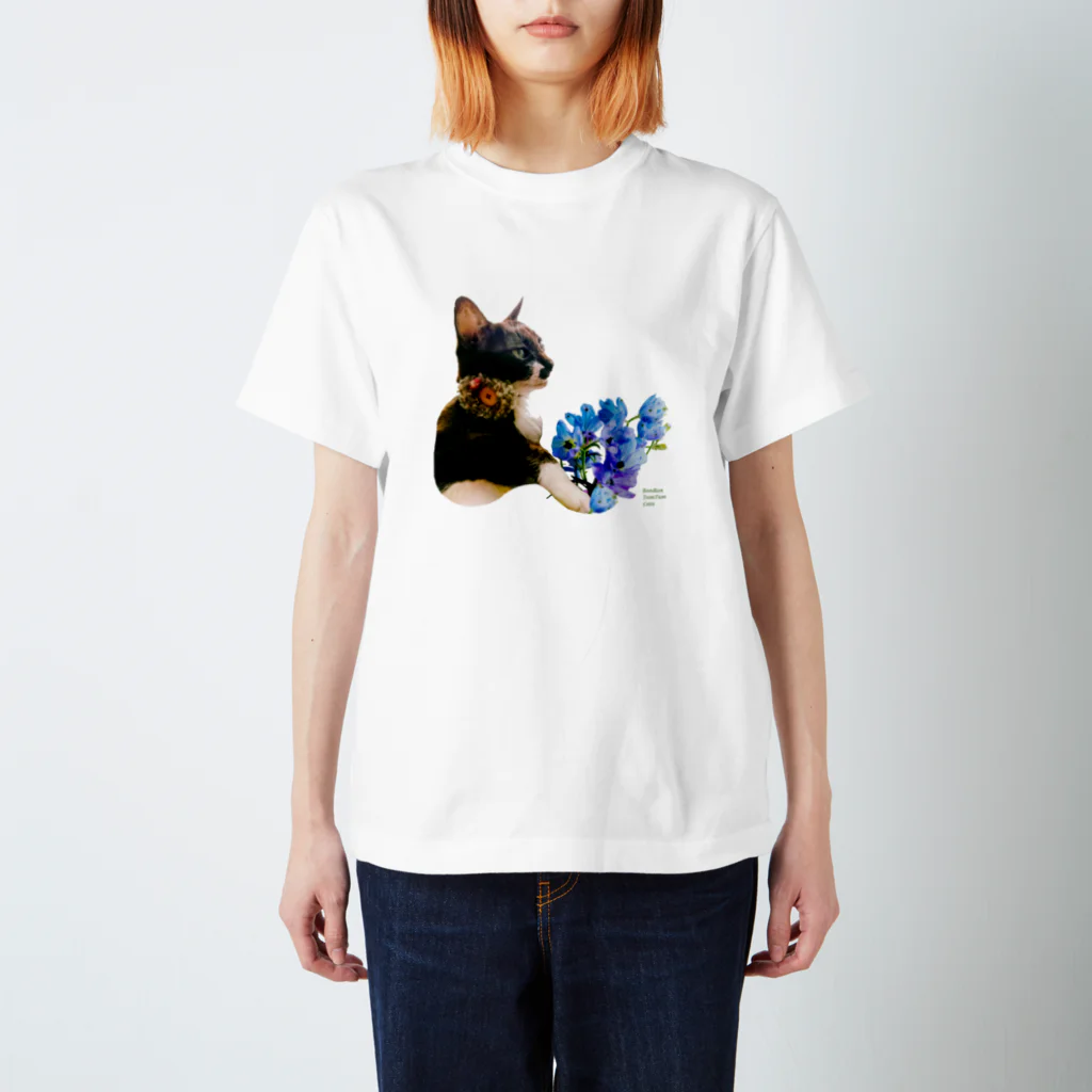 RonRon TumTum Catsの猫からの贈り物 スタンダードTシャツ