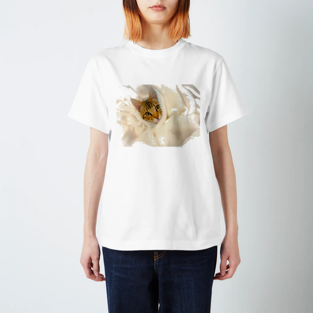 じっぷぁの写真のところの可愛さを理解してる猫 Regular Fit T-Shirt