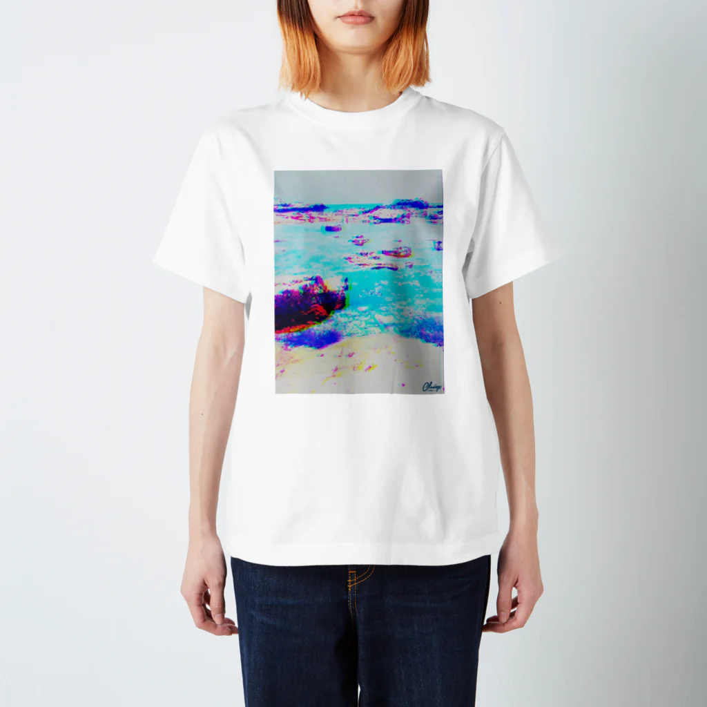 Indigo WORKSのIndigo WORKS ''UMI'' スタンダードTシャツ