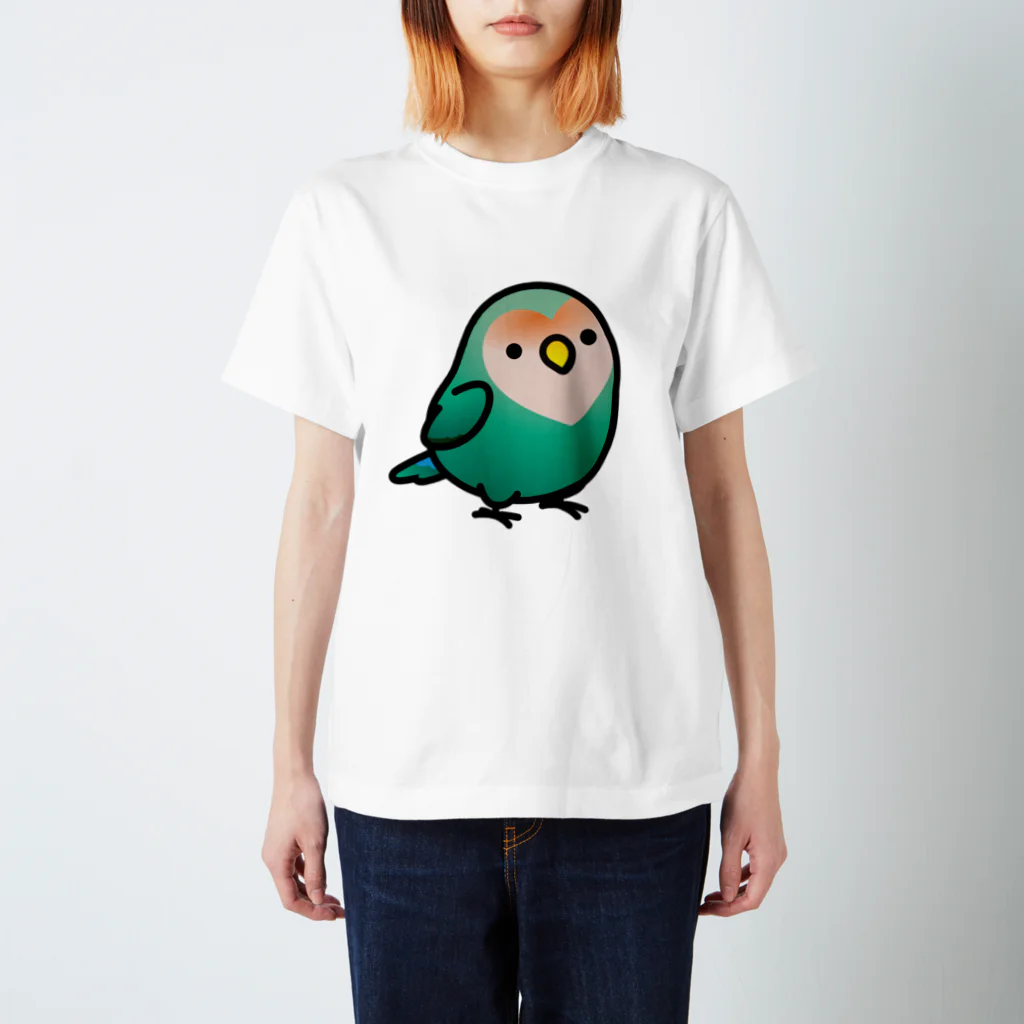 Cody the LovebirdのChubby Bird コザクラインコ スタンダードTシャツ