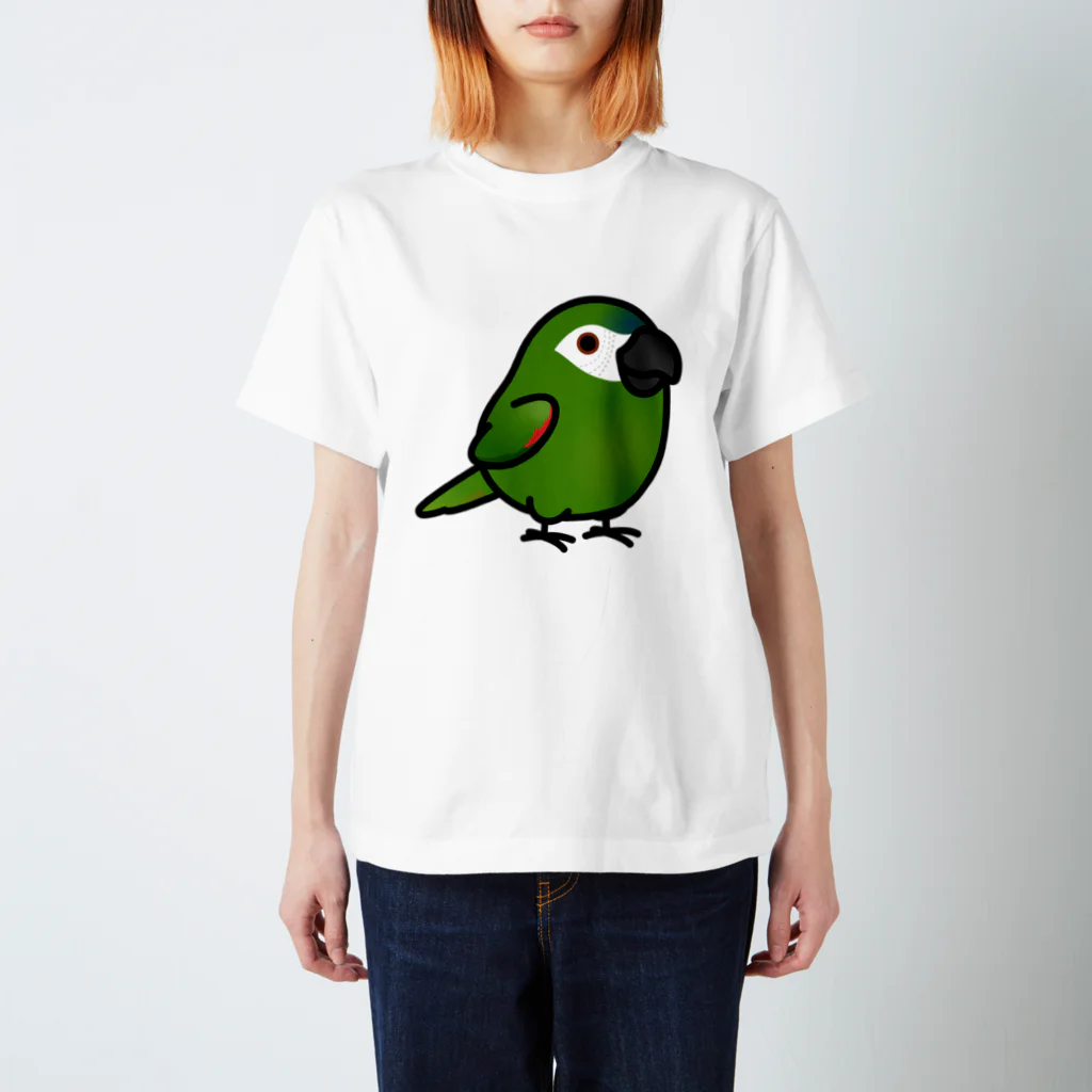 Cody the LovebirdのChubby Bird　コミドリコンゴウインコ Regular Fit T-Shirt