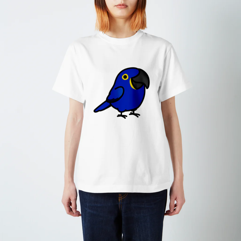 Cody the LovebirdのChubby Bird スミレコンゴウインコ スタンダードTシャツ