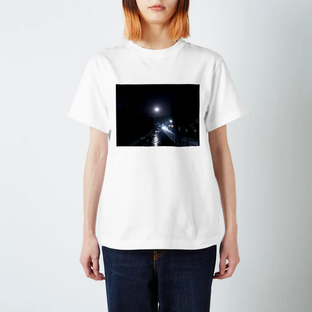 鮭茶漬けの満月🌝 スタンダードTシャツ