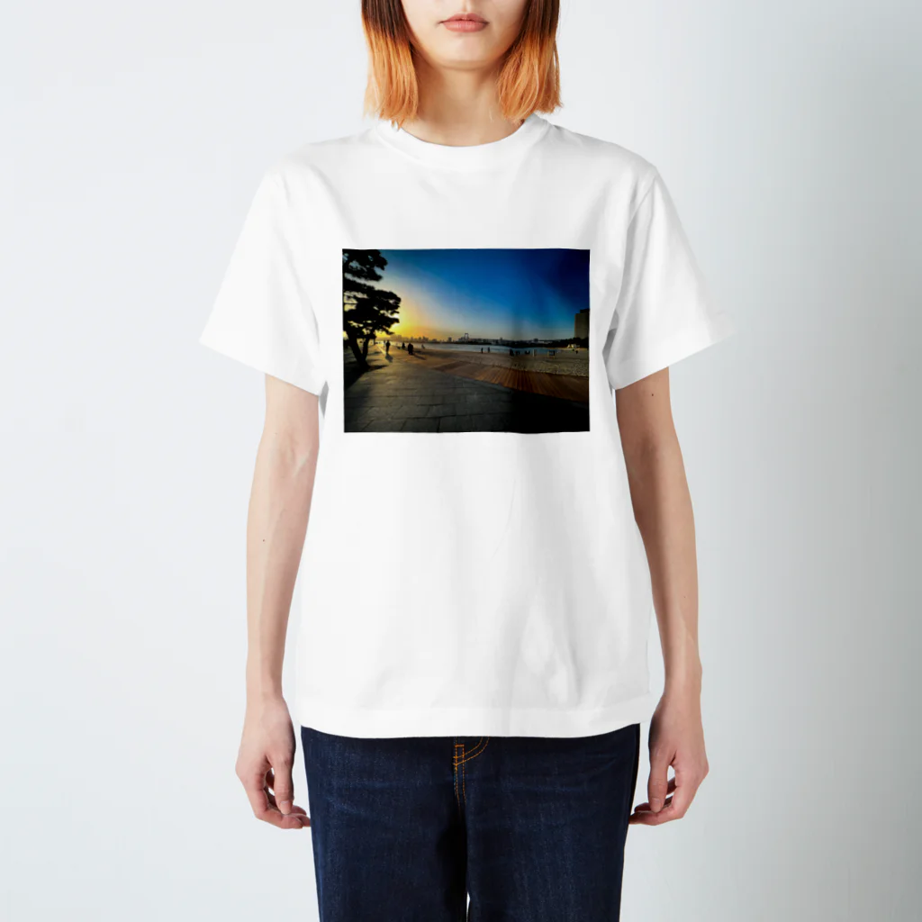 thekazuのお台場海浜公園 スタンダードTシャツ