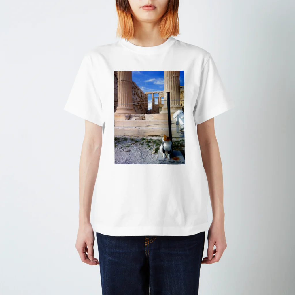 323工房 / 人鳥書店のギリシアの猫 Regular Fit T-Shirt