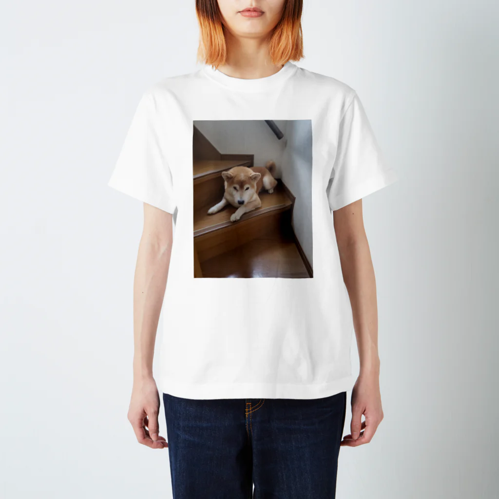 riotaの柴犬たろう Regular Fit T-Shirt