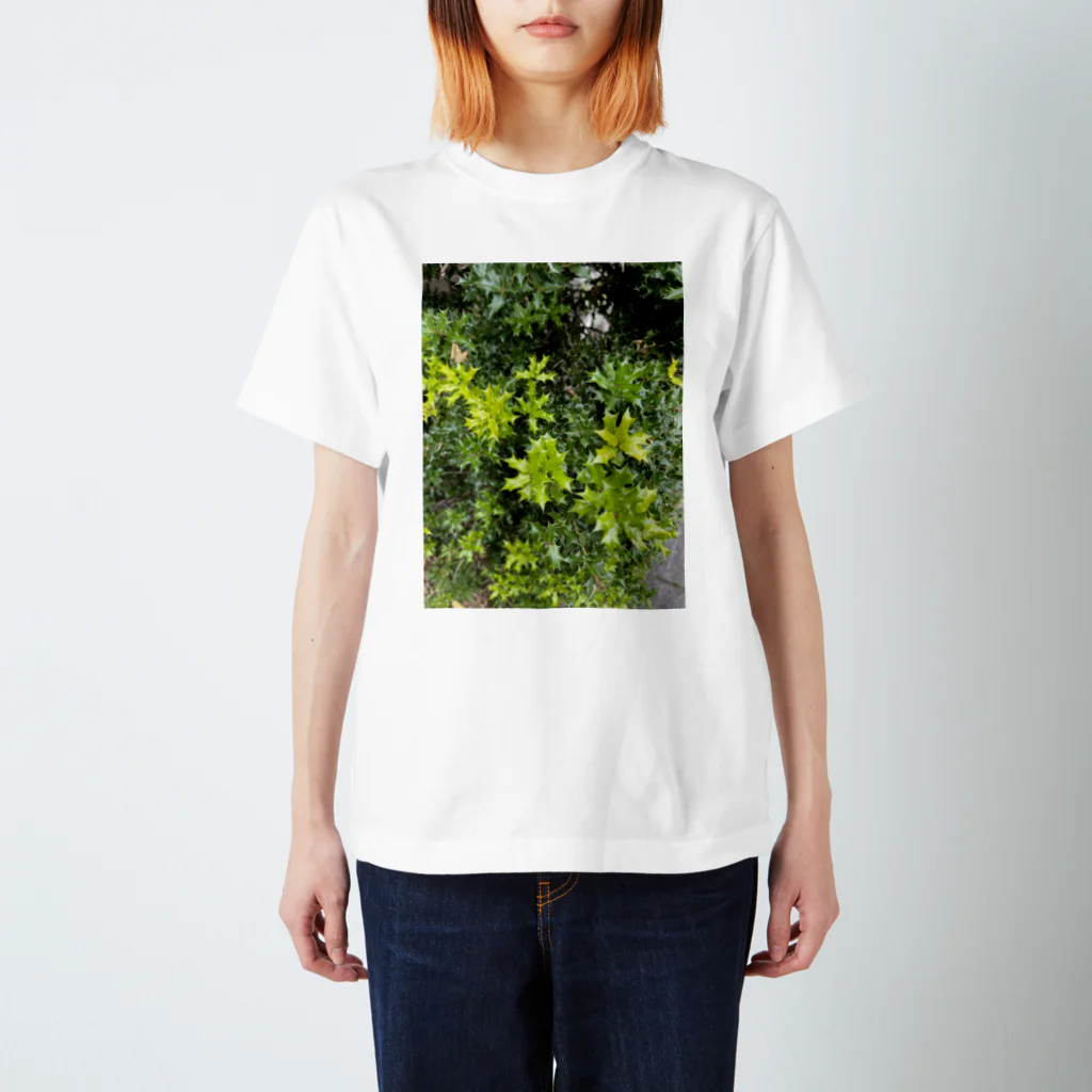 sumidagawaの柊 スタンダードTシャツ