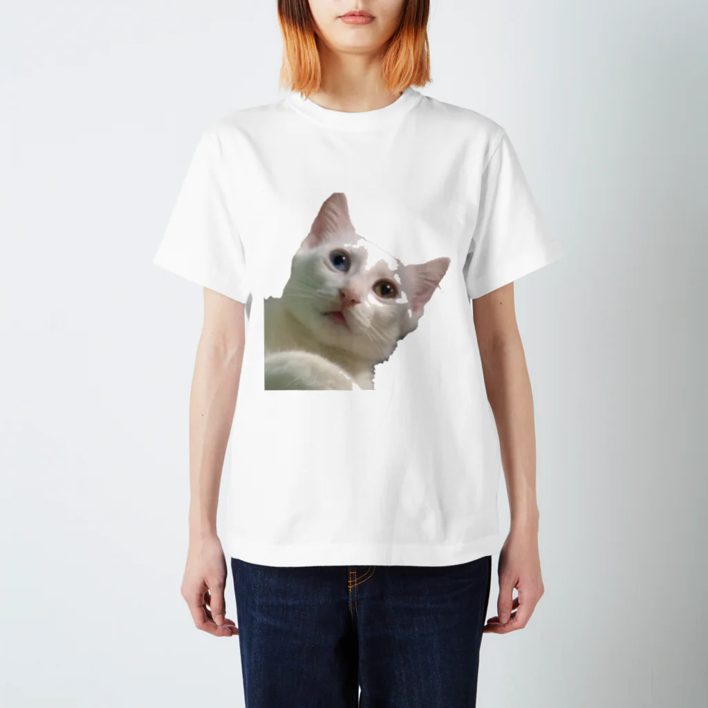 Primary clamの素数を数える猫Tシャツ Regular Fit T-Shirt