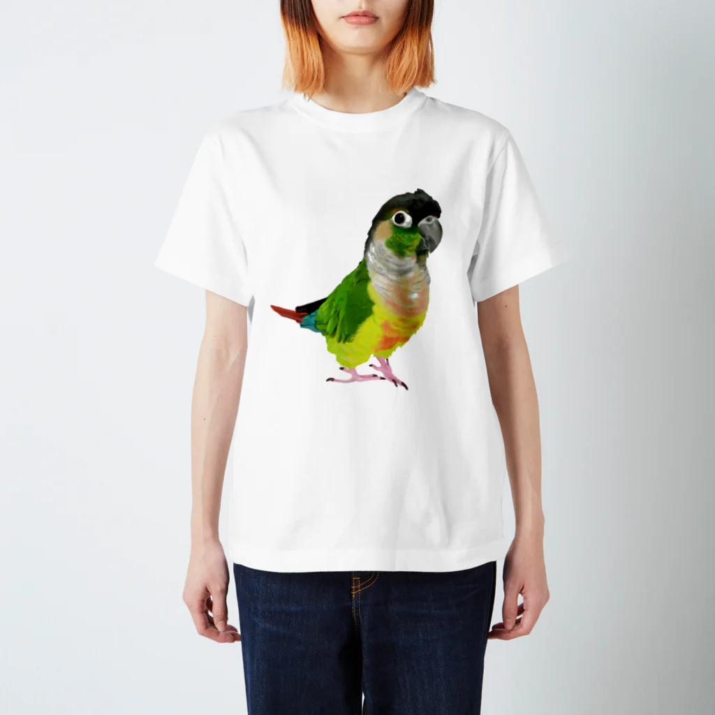 アキクサインコとウロコインコのウロコインコ スタンダードTシャツ