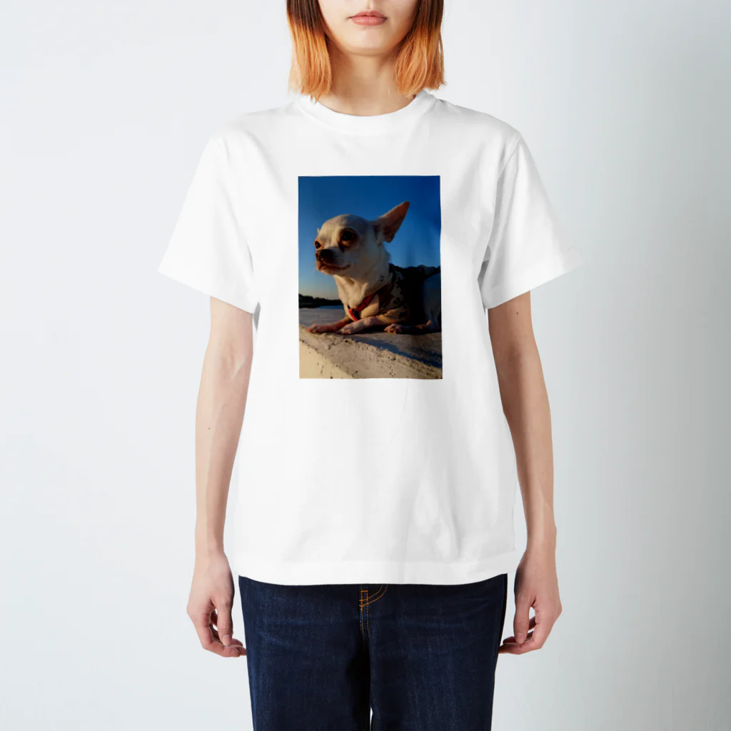 うめこずかんの海辺のうめこ１ スタンダードTシャツ