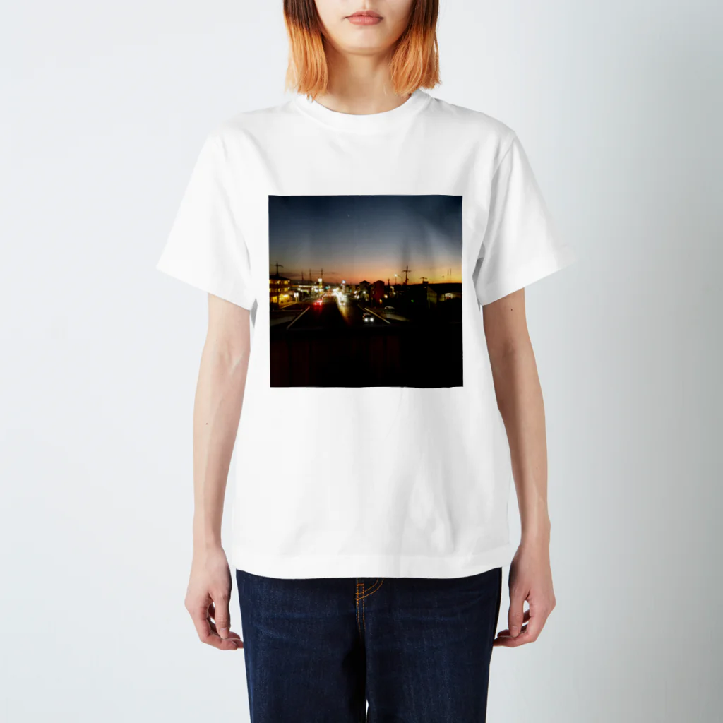 ナチュラルフラワーの夕暮れどき Regular Fit T-Shirt