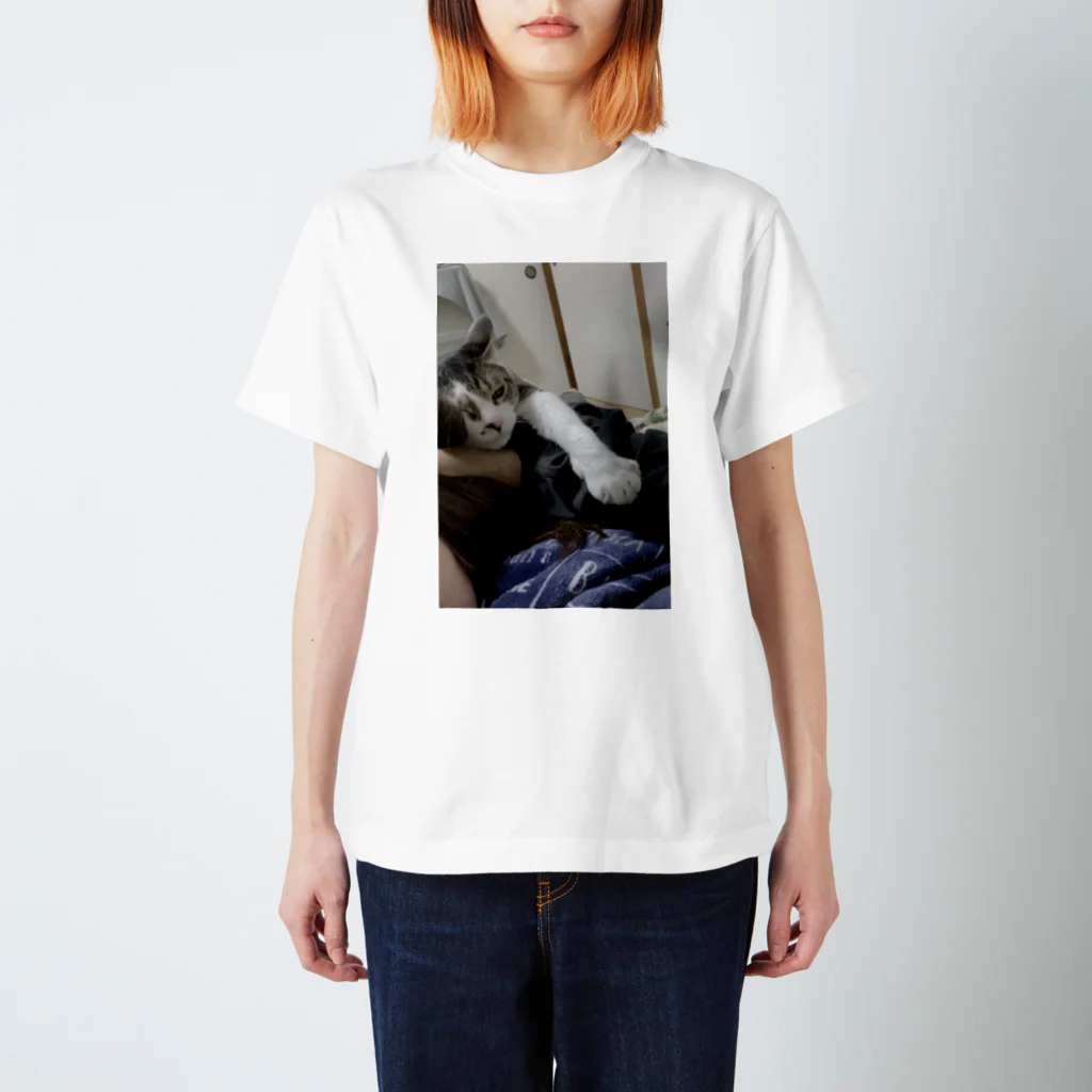 ‍るかのうちの猫 Regular Fit T-Shirt