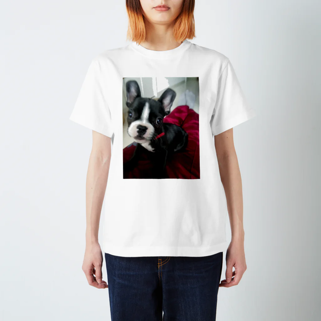 くぅちゃんのお店のパピィのくぅちゃん Regular Fit T-Shirt