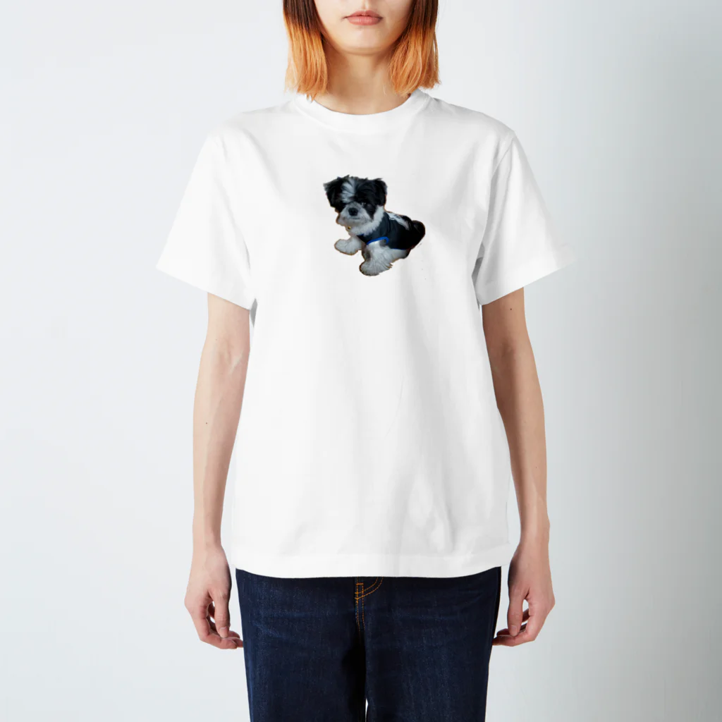 Kimm10161013のチワマルまりも Regular Fit T-Shirt