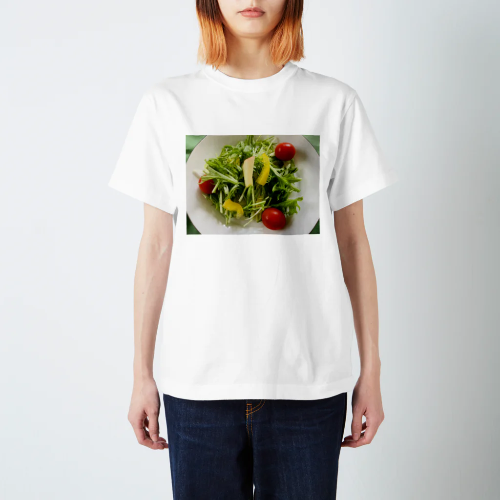 🌹DonDonHAPPYni🌹の🥗サラダ スタンダードTシャツ