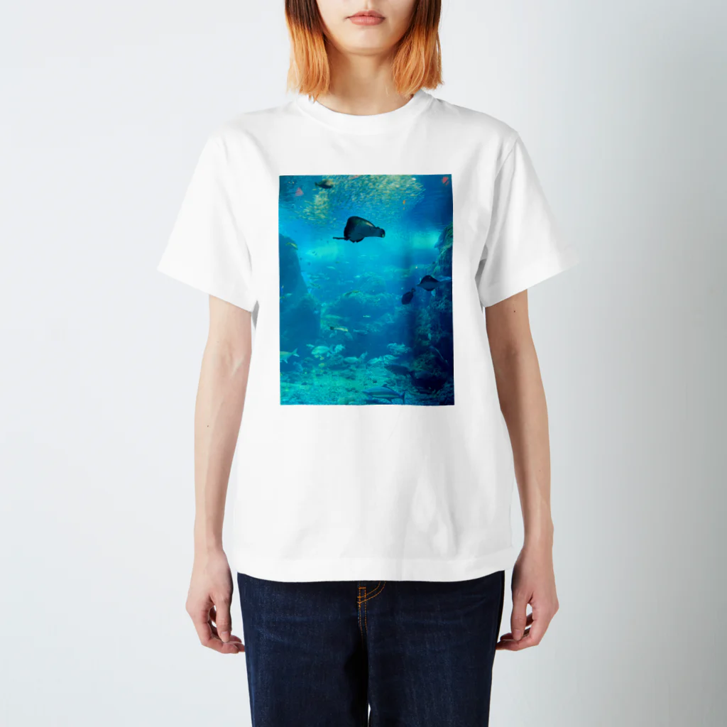 ゴリーメイソンの水惑星 Regular Fit T-Shirt