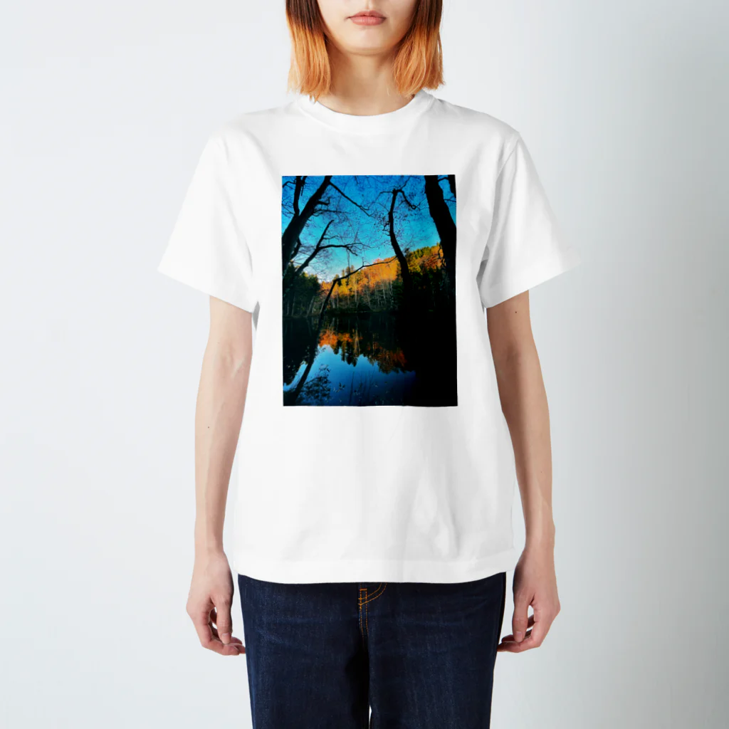 SwellのColor of the Forest スタンダードTシャツ