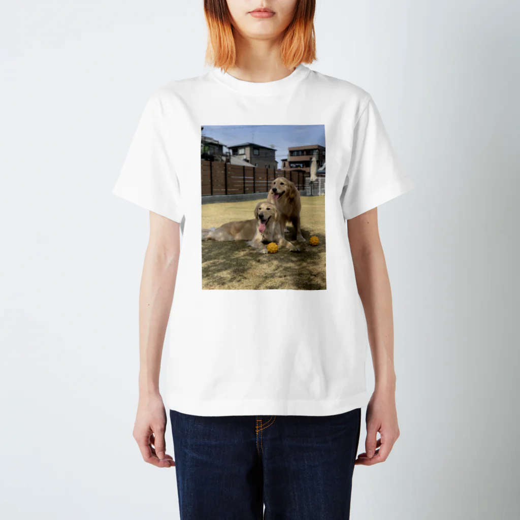 Golden Retriever Sarah&TaroのGolden Retriever Sarah&Taro2 スタンダードTシャツ