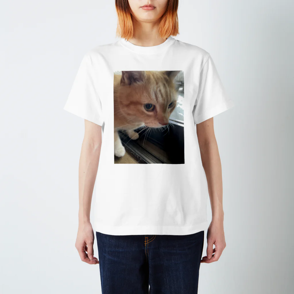 笑顔咲きのロン猫 スタンダードTシャツ