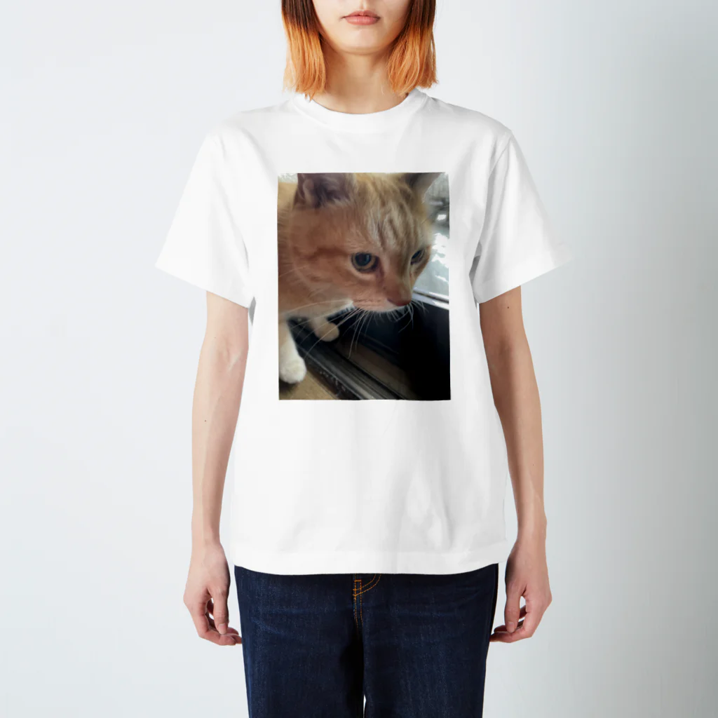 笑顔咲きのロン猫 Regular Fit T-Shirt