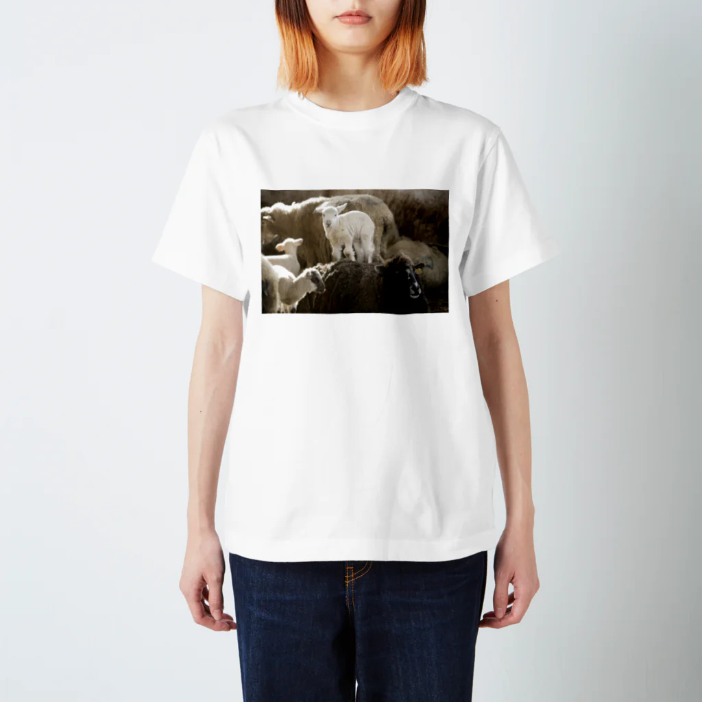 Erinorの背中子羊 Regular Fit T-Shirt