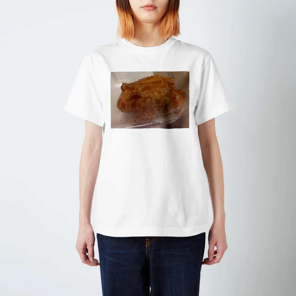 YOKOのSHOPのAhiru Regular Fit T-Shirt