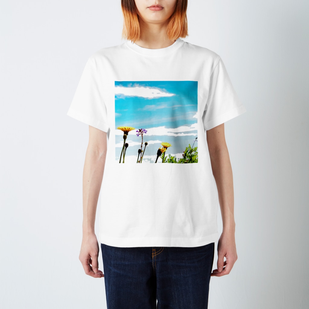 emiの宝箱のあの日の空　9 Regular Fit T-Shirt