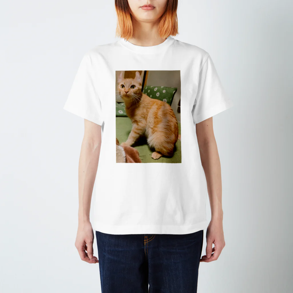 ふじちゃんの猫のまろんちゃんキーホルダー スタンダードTシャツ