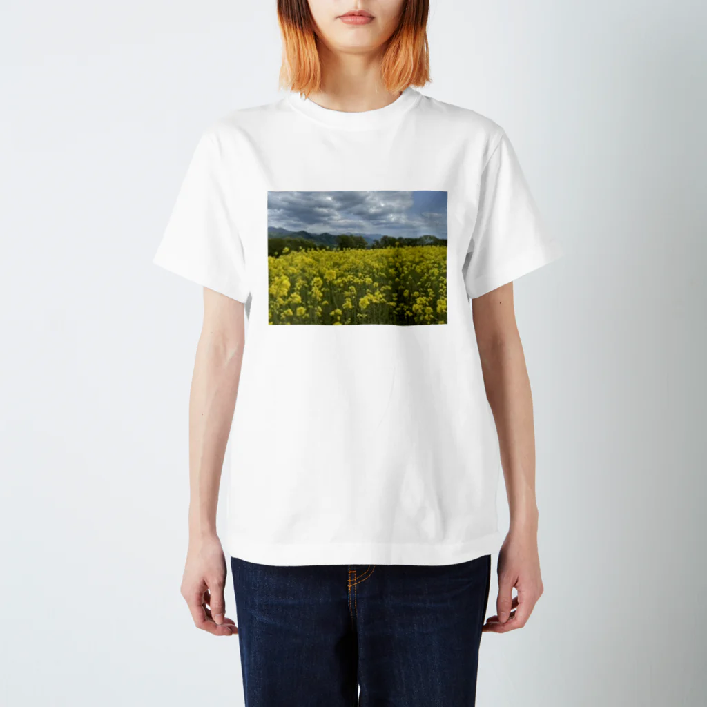 Zunco☺︎のsky Rape field Regular Fit T-Shirt