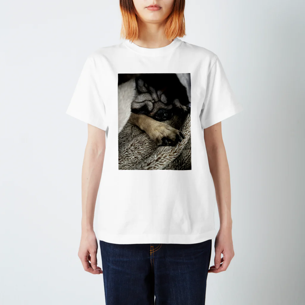 pug♡むぎのパグ好きのためのTシャツ♡ スタンダードTシャツ