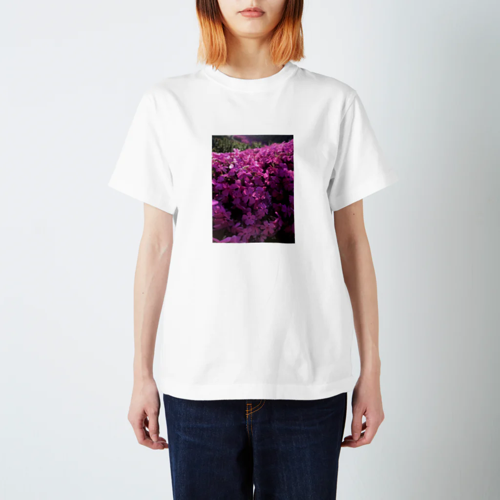 Gallery Crystalのpink world スタンダードTシャツ