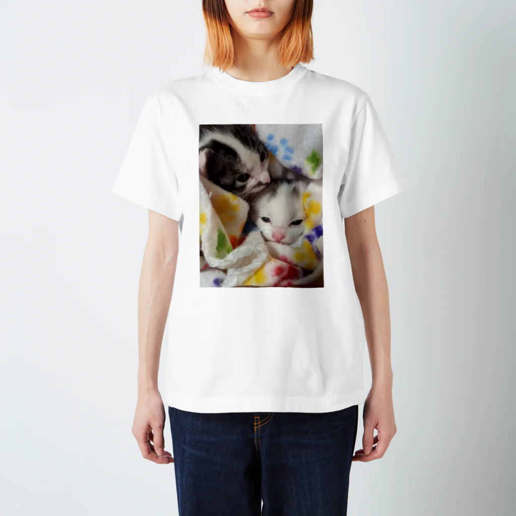 ササキ家のアニマルの子猫たち Regular Fit T-Shirt