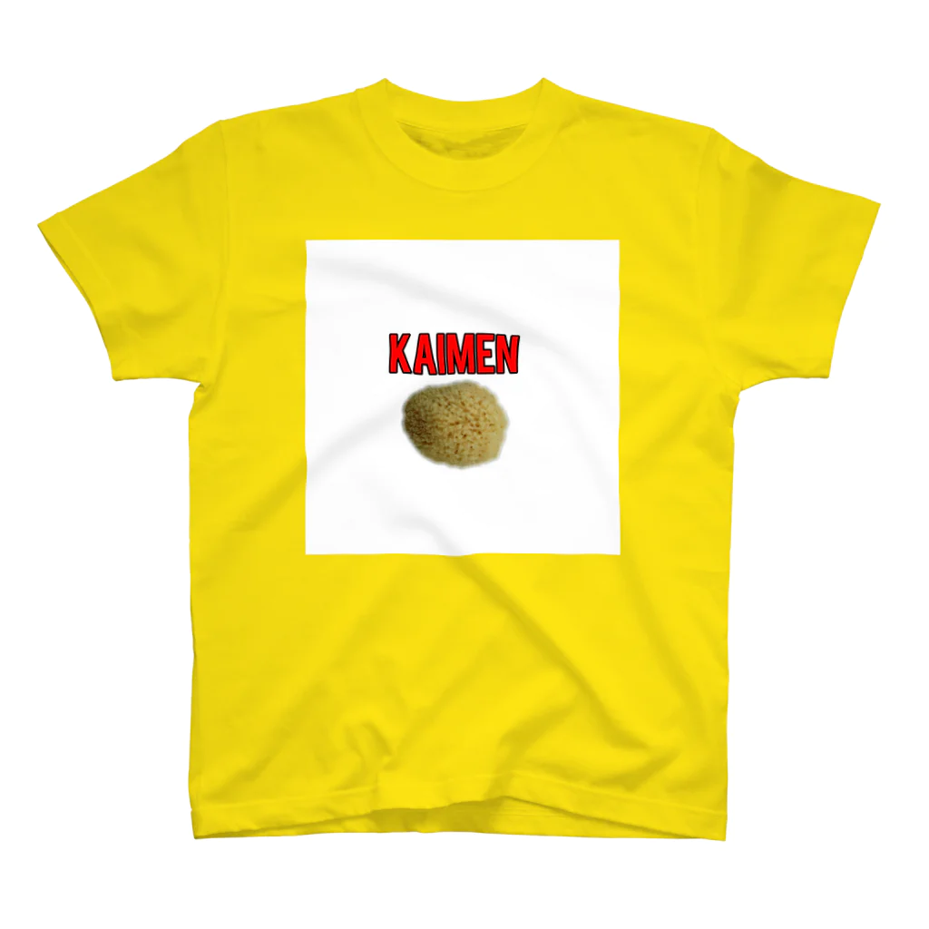 デリーの海綿Ｔシャツ『KAIMEN』(２) Regular Fit T-Shirt