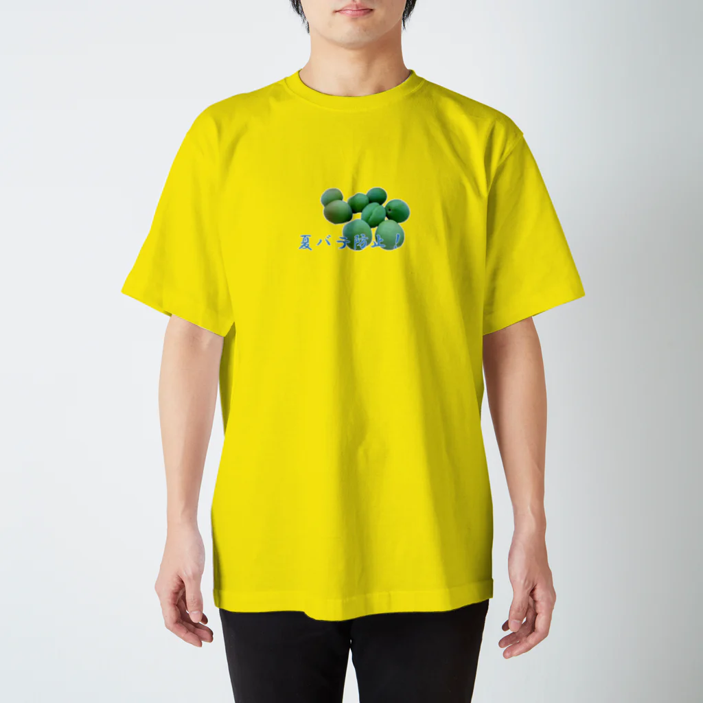 やまとねこの夏バテ防止！ Regular Fit T-Shirt