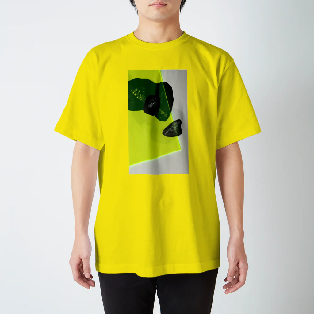 anaanaのdimension  Regular Fit T-Shirt