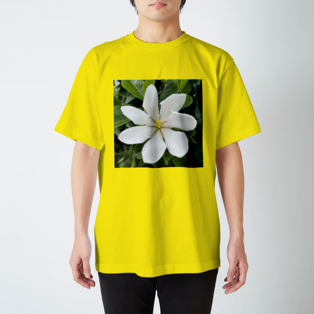 でおきしりぼ子の実験室の梔子の花 スタンダードTシャツ