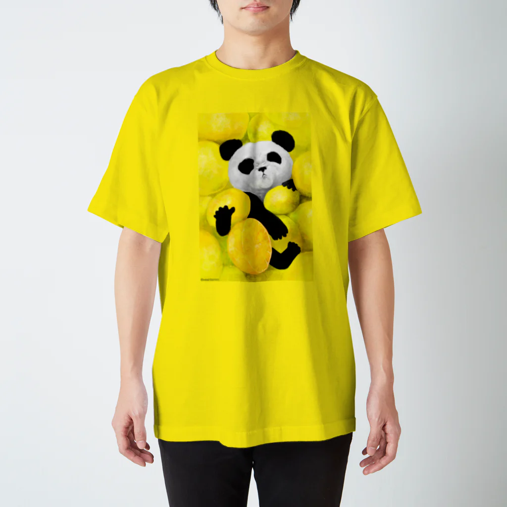 Washiemon and Ai-chan's ShopのPANDA No.3 スタンダードTシャツ