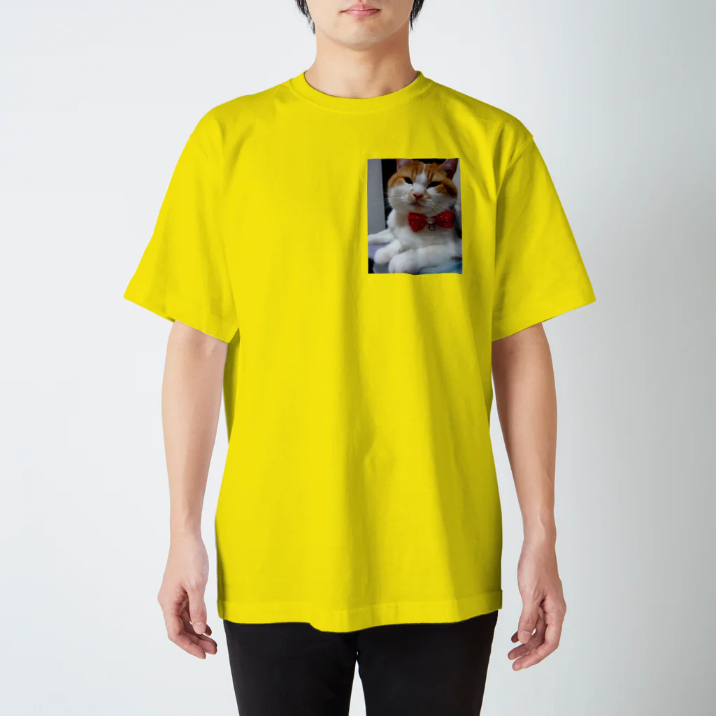 スマートマルシェのスマート Regular Fit T-Shirt