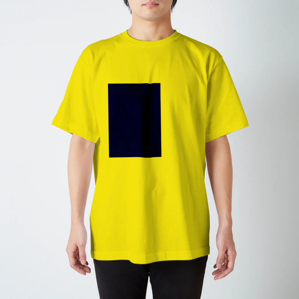 Kiotoの間・ま・真 スタンダードTシャツ